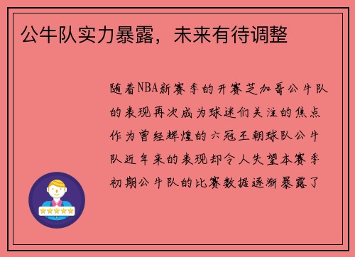 公牛队实力暴露，未来有待调整