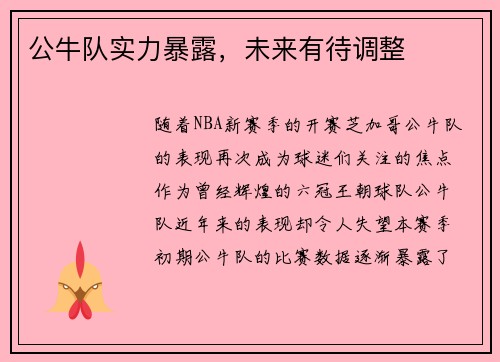 公牛队实力暴露，未来有待调整